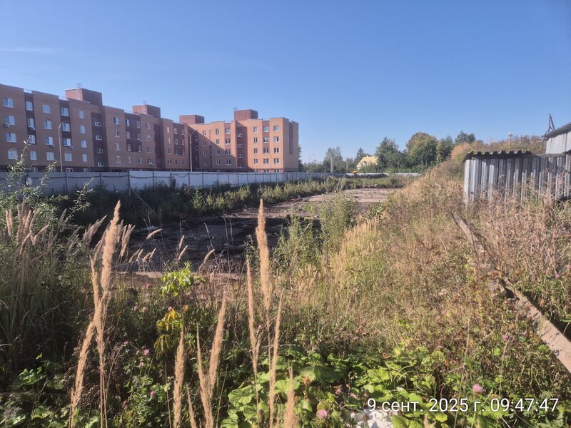 Сентябрь 2025